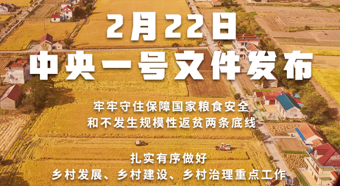 2022年中央一號文件發(fā)布！接續(xù)實施農(nóng)村人居環(huán)境整治提升五年行動