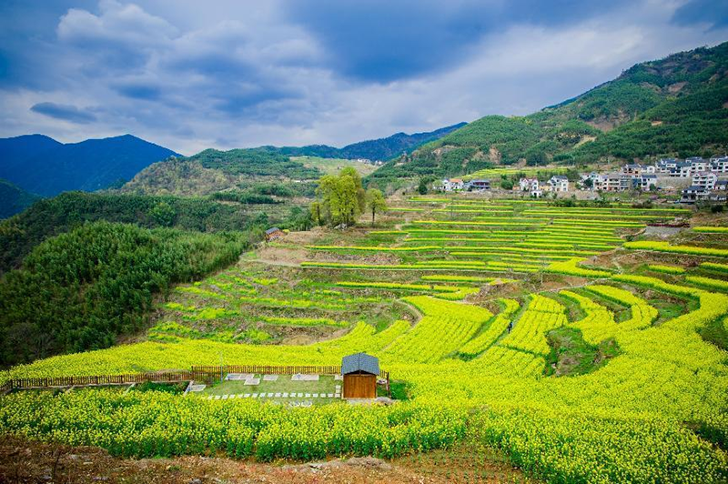 林業(yè)碳匯項(xiàng)目市場潛在價(jià)值為2802億~4691億元