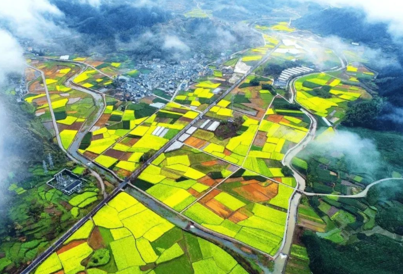 支持社會(huì)資本投資農(nóng)村人居環(huán)境整治，《社會(huì)資本投資農(nóng)業(yè)農(nóng)村指引（2022年）》發(fā)布