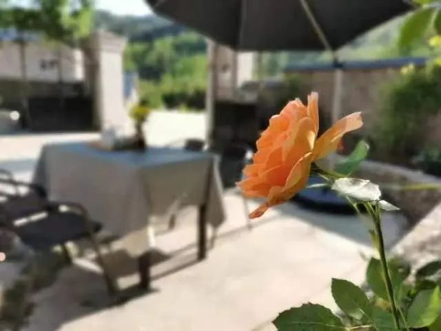 《浙江日報(bào)》頭版報(bào)道臨安招引鄉(xiāng)村運(yùn)營師新聞發(fā)布會(huì)