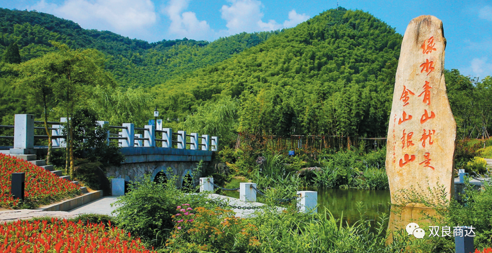 臥虎藏龍取景地，安吉大竹海！商達(dá)五鶴村農(nóng)村污水示范站點(diǎn)投入試運(yùn)行