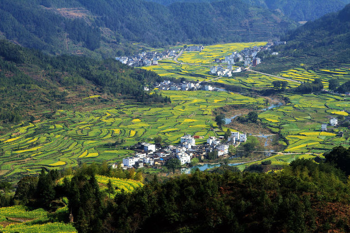 浙江?。盒略鲛r(nóng)村行政村環(huán)境整治1100個，基本消除農(nóng)村黑臭水體