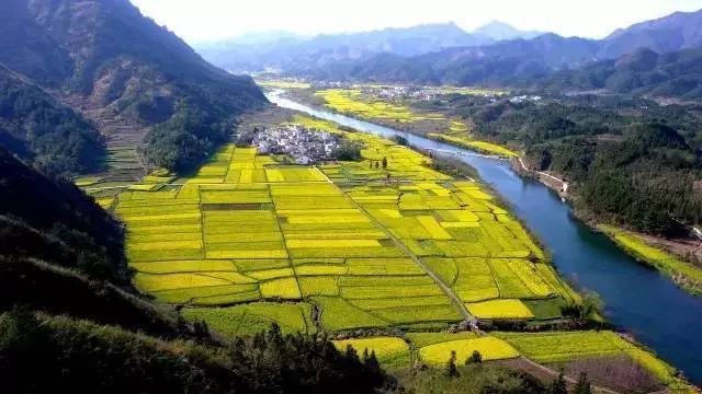 中央經(jīng)濟工作會議要求，在落實碳達峰碳中和目標任務過程中鍛造新的產(chǎn)業(yè)競爭優(yōu)勢