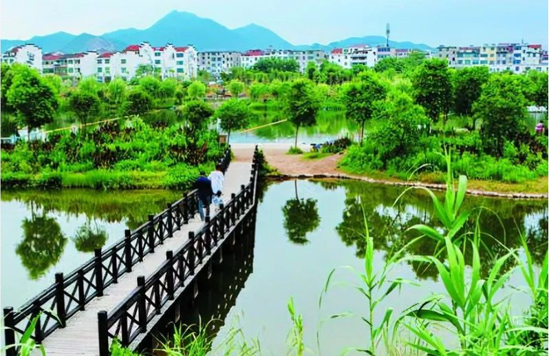《中國環(huán)境報》頭版頭條：浙江構(gòu)建降碳、減污、擴(kuò)綠、增長整體智治體系