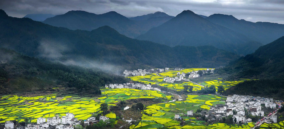 農業(yè)農村部一號文件發(fā)布：統(tǒng)籌推進農村生活污水和垃圾治理！
