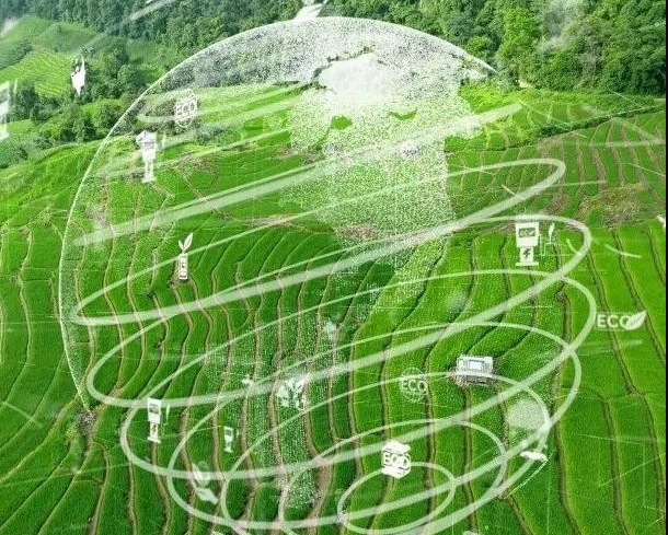 農(nóng)業(yè)碳匯加速入局碳交易，農(nóng)產(chǎn)品固碳價值“變現(xiàn)”可期