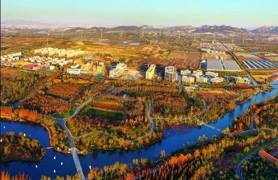 什么是農(nóng)村生活污水全域治理的“青島速度”？
