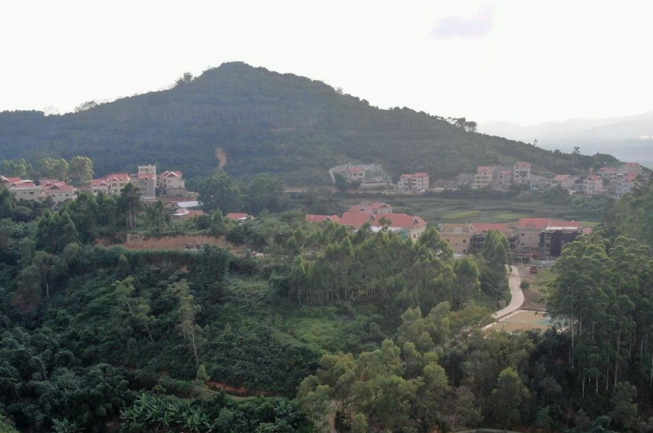 福建廈門(mén)：鼓勵(lì)打造綠色生態(tài)宜居的美麗鄉(xiāng)村