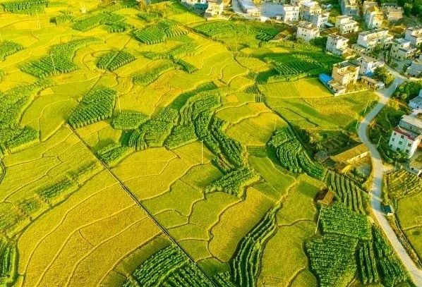 農(nóng)村污水處理：不同省份如何因地制宜？