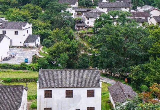 安徽六安市生態(tài)環(huán)境局發(fā)布《2024年六安市土壤、地下水污染防治和農(nóng)村生態(tài)環(huán)境保護工作要點》！