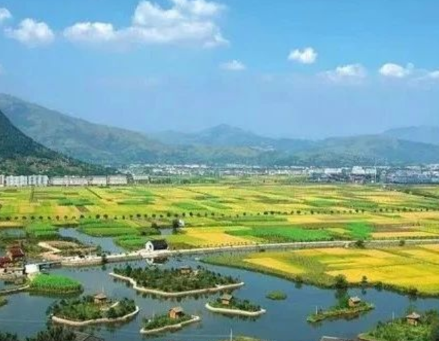 山東印發(fā)實施意見，大力發(fā)展現(xiàn)代設(shè)施農(nóng)業(yè)